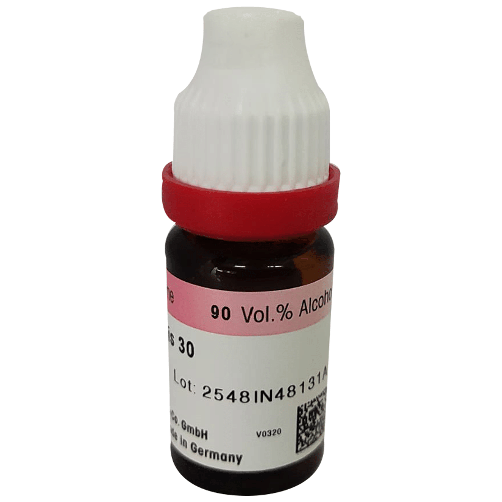Dr. Reckeweg Carbo Vegetabilis Dilution 30 CH Dr. Reckeweg Carbo Vegetabilis Dilution 30 CH