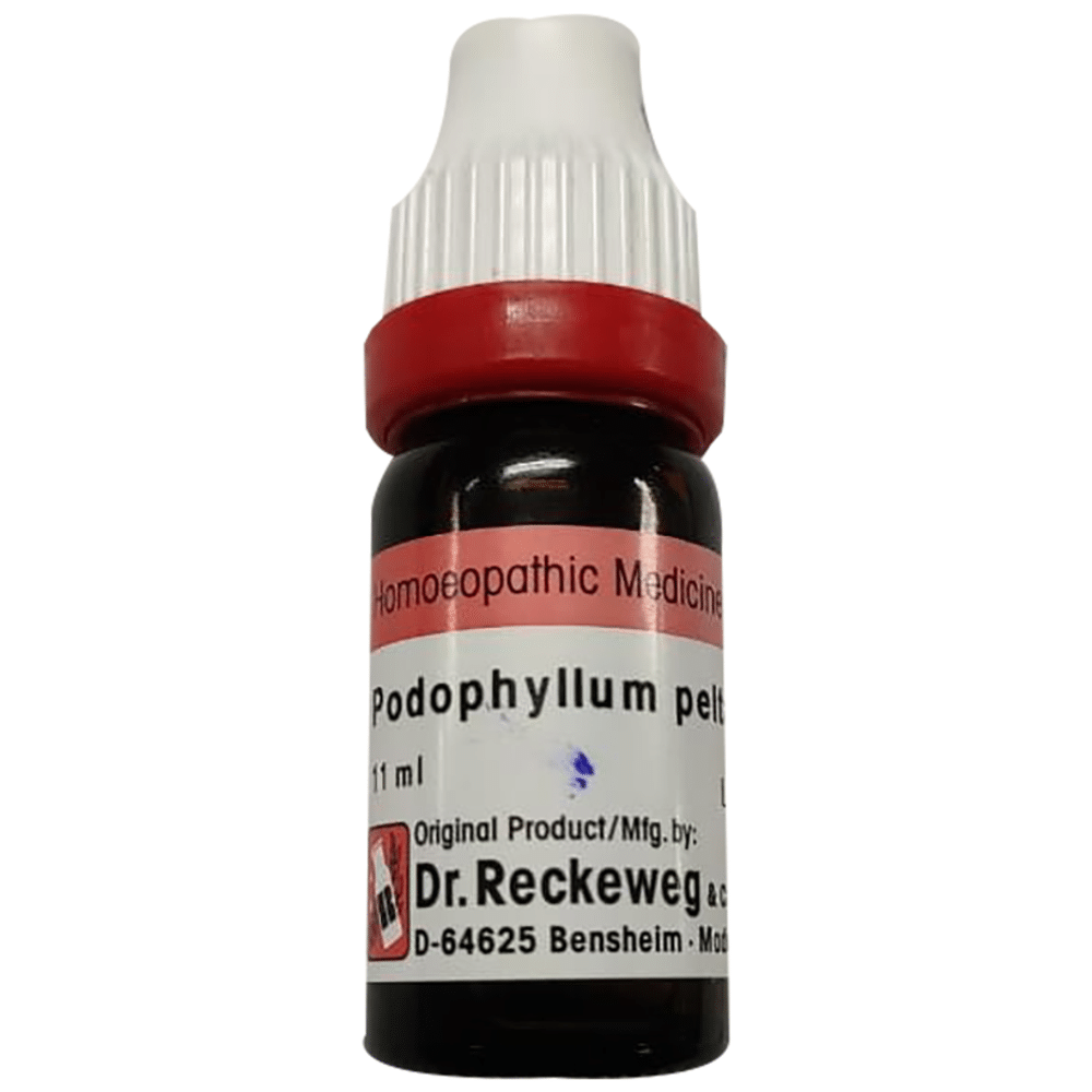 Dr. Reckeweg Podophyllum Peltatum Dilution 30 CH Dr. Reckeweg Podophyllum Peltatum Dilution 30 CH