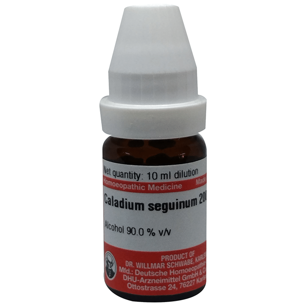 Dr Willmar Schwabe Germany Caladium Seguinum Dilution 200 Dr Willmar Schwabe Germany Caladium Seguinum Dilution 200