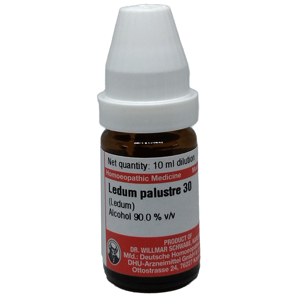 Dr Willmar Schwabe Germany Ledum Palustre Dilution 30