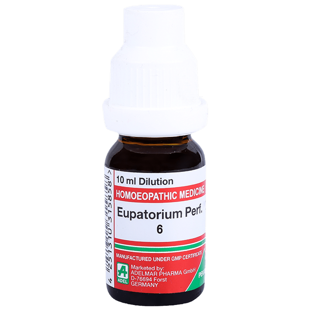 ADEL Eupatorium Perf. Dilution 6 ADEL Eupatorium Perf. Dilution 6