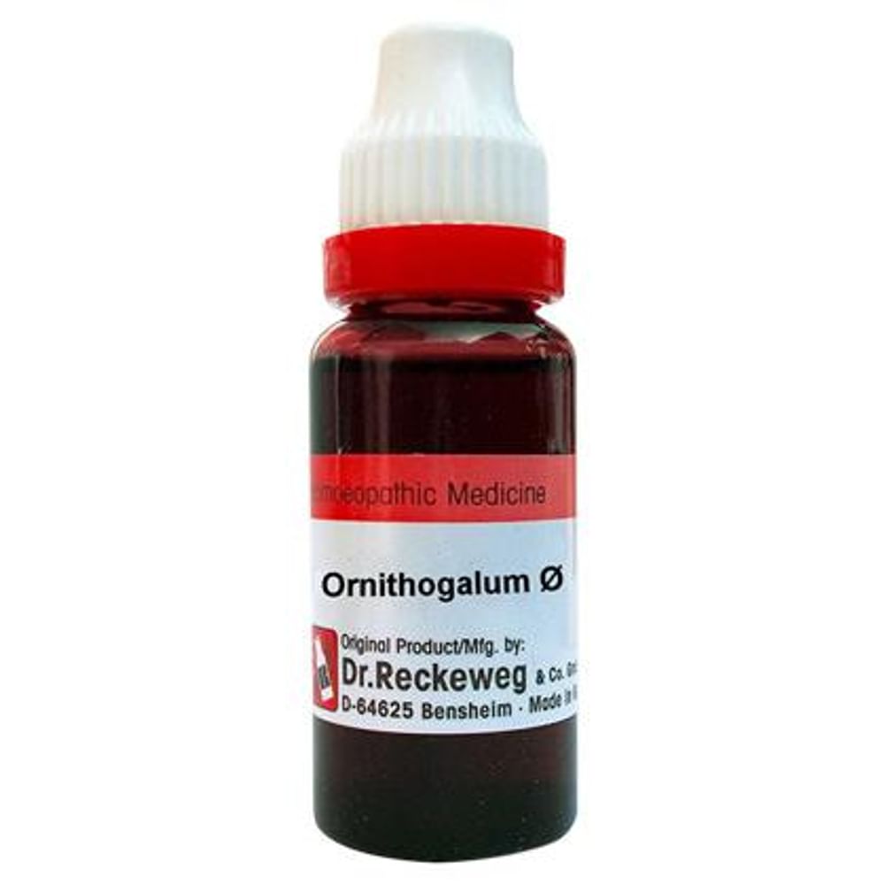 Dr. Reckeweg Ornithogalum Mother Tincture Q Dr. Reckeweg Ornithogalum Mother Tincture Q