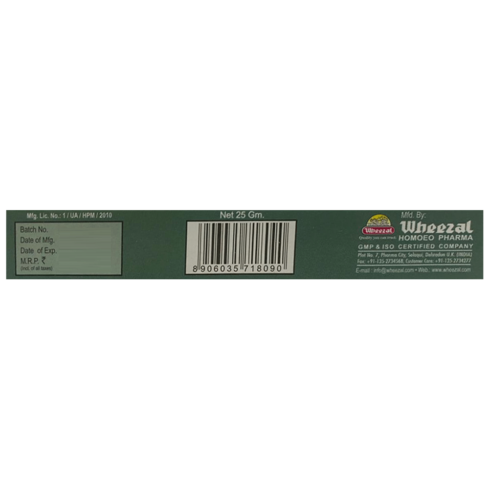 Wheezal Graphites Ointment Wheezal Graphites Ointment