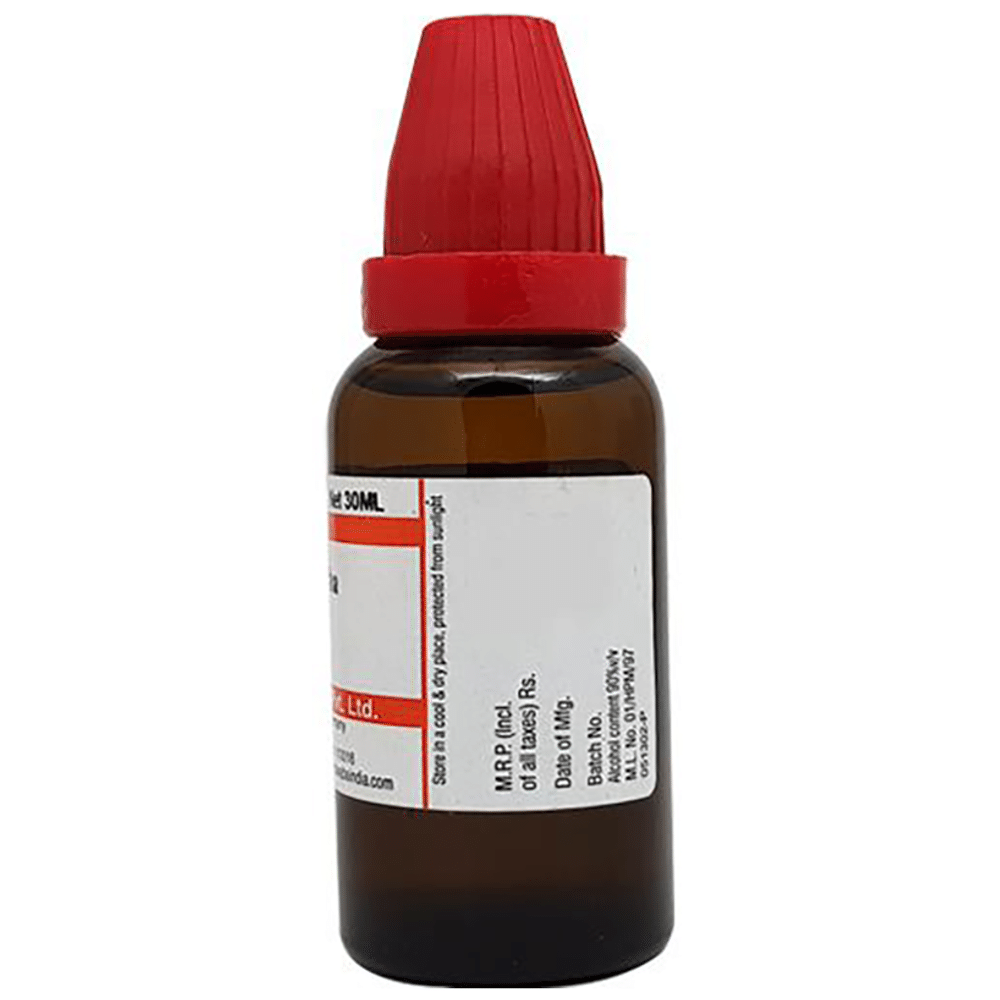 Dr Willmar Schwabe India Arsenicum Album Dilution 200 CH Dr Willmar Schwabe India Arsenicum Album Dilution 200 CH