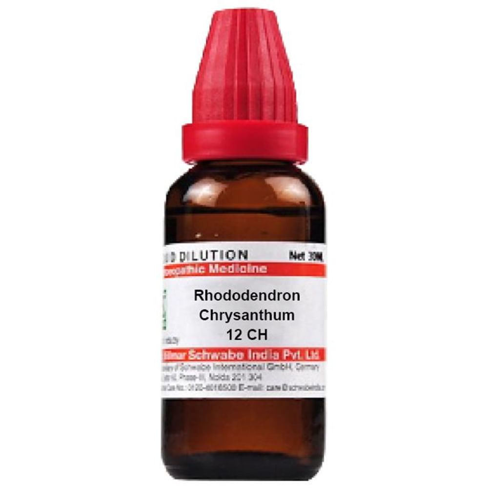 Dr Willmar Schwabe India Rhododendron Chrysanthum Dilution 12 CH Dr Willmar Schwabe India Rhododendron Chrysanthum Dilution 12 CH