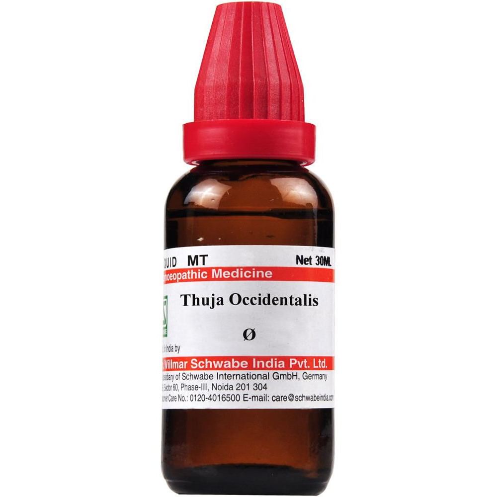 Dr Willmar Schwabe India Thuja Occidentalis Mother Tincture Q Dr Willmar Schwabe India Thuja Occidentalis Mother Tincture Q