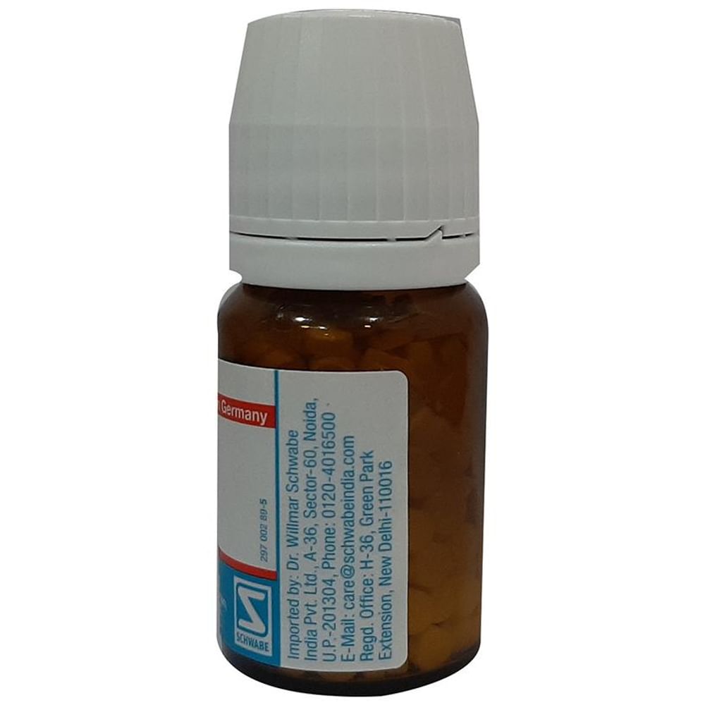 Dr Willmar Schwabe Germany Ferrum Phosphoricum Tablet 6X Dr Willmar Schwabe Germany Ferrum Phosphoricum Tablet 6X
