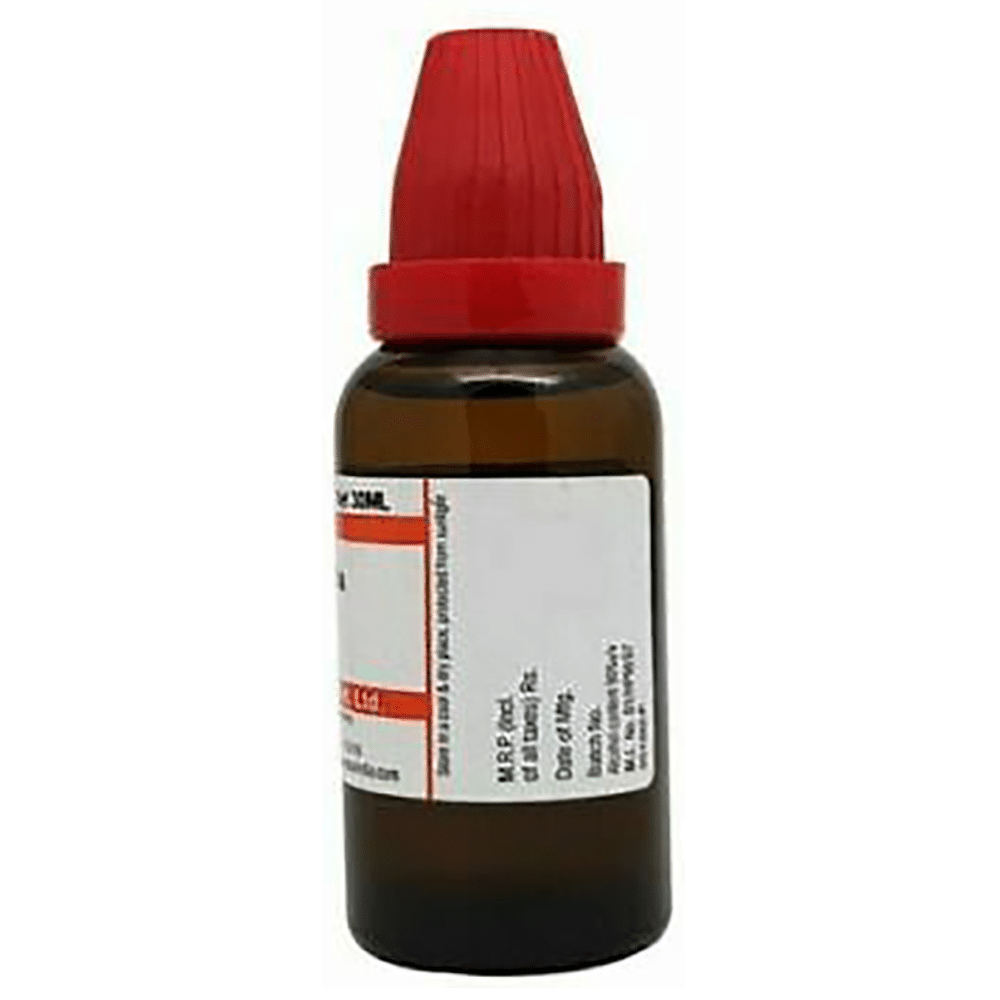 Dr Willmar Schwabe India Terminalia Arjuna Mother Tincture Q Dr Willmar Schwabe India Terminalia Arjuna Mother Tincture Q