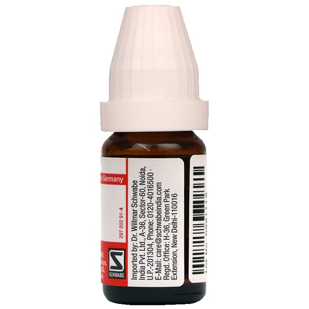 Dr Willmar Schwabe Germany Rhus Toxicodendron Dilution 200 Dr Willmar Schwabe Germany Rhus Toxicodendron Dilution 200