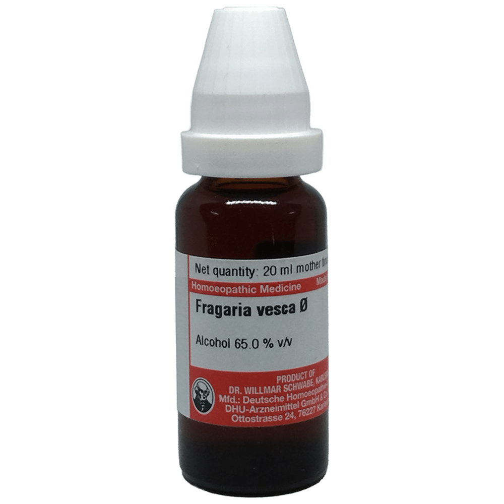 Dr Willmar Schwabe Germany Fragaria Vesea Mother Tincture Q Dr Willmar Schwabe Germany Fragaria Vesea Mother Tincture Q