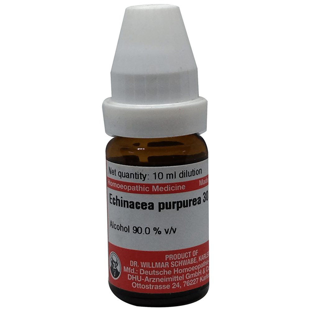 Dr Willmar Schwabe Germany Echinacea Purpurea Dilution 30 Dr Willmar Schwabe Germany Echinacea Purpurea Dilution 30