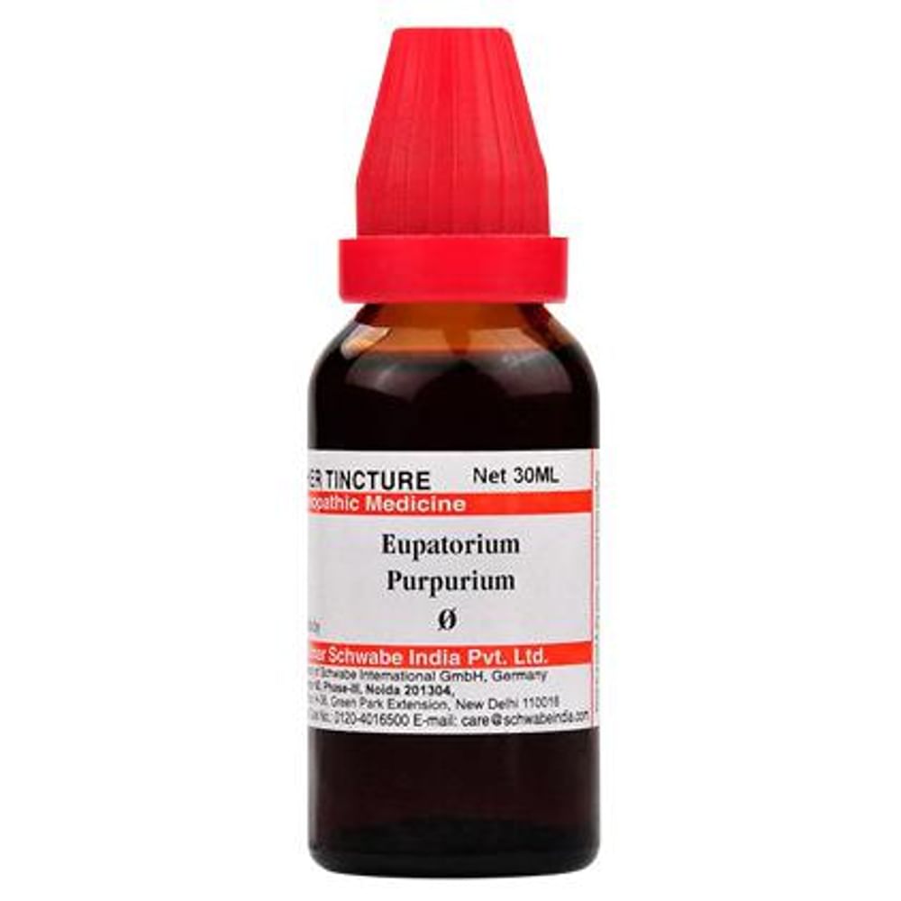 Dr Willmar Schwabe India Eupatorium Purpurium Mother Tincture Q Dr Willmar Schwabe India Eupatorium Purpurium Mother Tincture Q