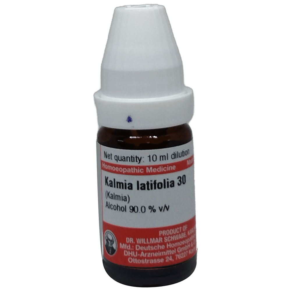 Dr Willmar Schwabe Germany Kalmia Latifolia Dilution 30 Dr Willmar Schwabe Germany Kalmia Latifolia Dilution 30