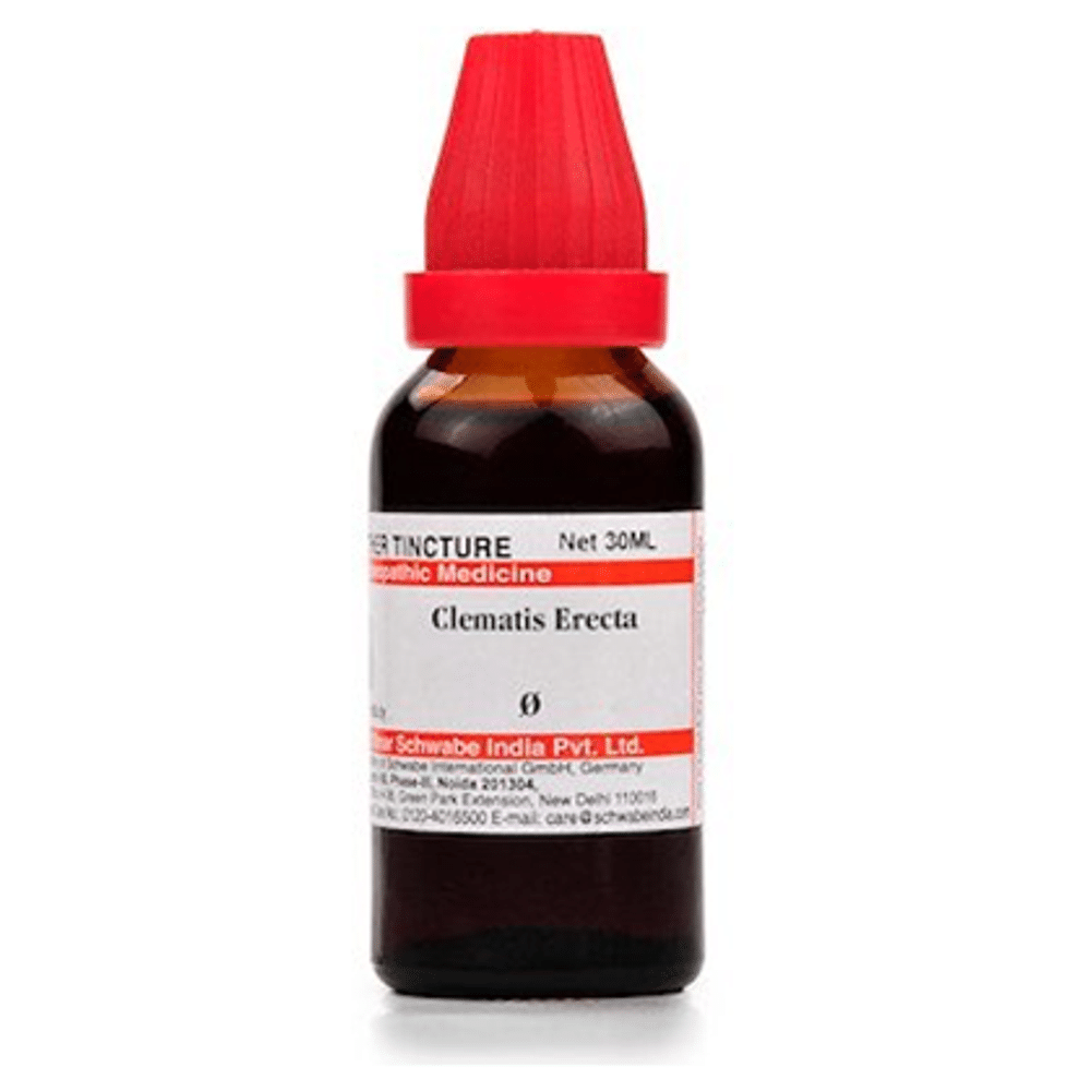 Dr Willmar Schwabe India Clematis Erecta Mother Tincture Q Dr Willmar Schwabe India Clematis Erecta Mother Tincture Q