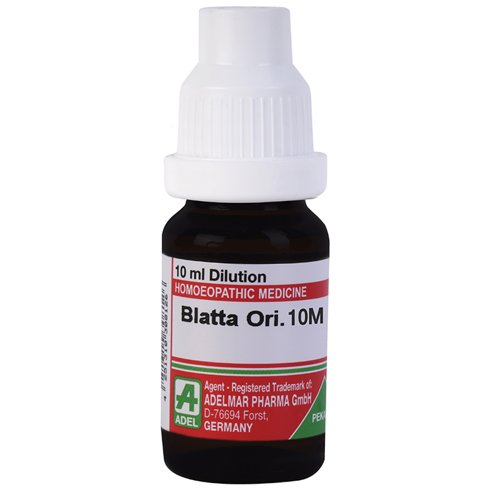 ADEL Blatta Ori. Dilution 10M ADEL Blatta Ori. Dilution 10M