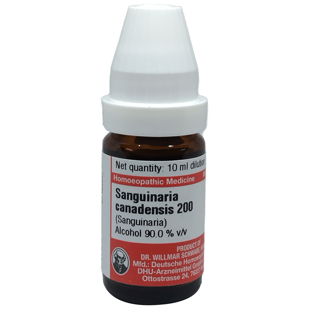 Dr Willmar Schwabe Germany Sanguinaria Canadenis Dilution 200 Dr Willmar Schwabe Germany Sanguinaria Canadenis Dilution 200