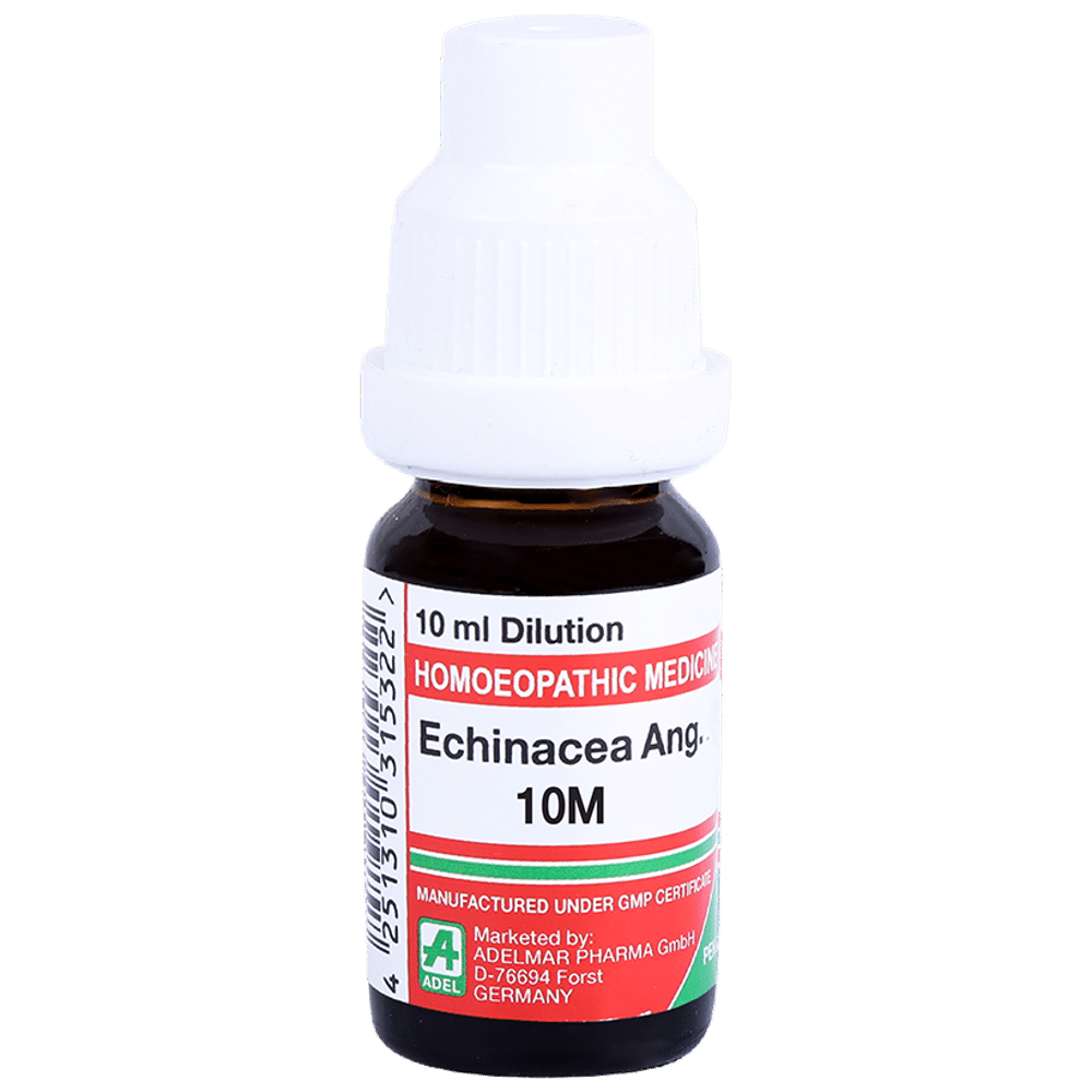 ADEL Echinacea Ang. Dilution 10M ADEL Echinacea Ang. Dilution 10M