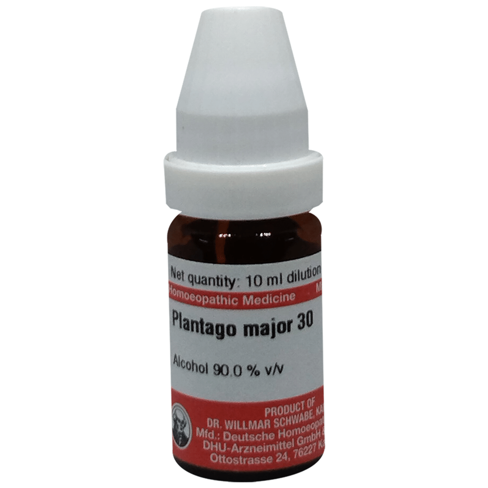 Dr Willmar Schwabe Germany Plantago Major Dilution 30 Dr Willmar Schwabe Germany Plantago Major Dilution 30