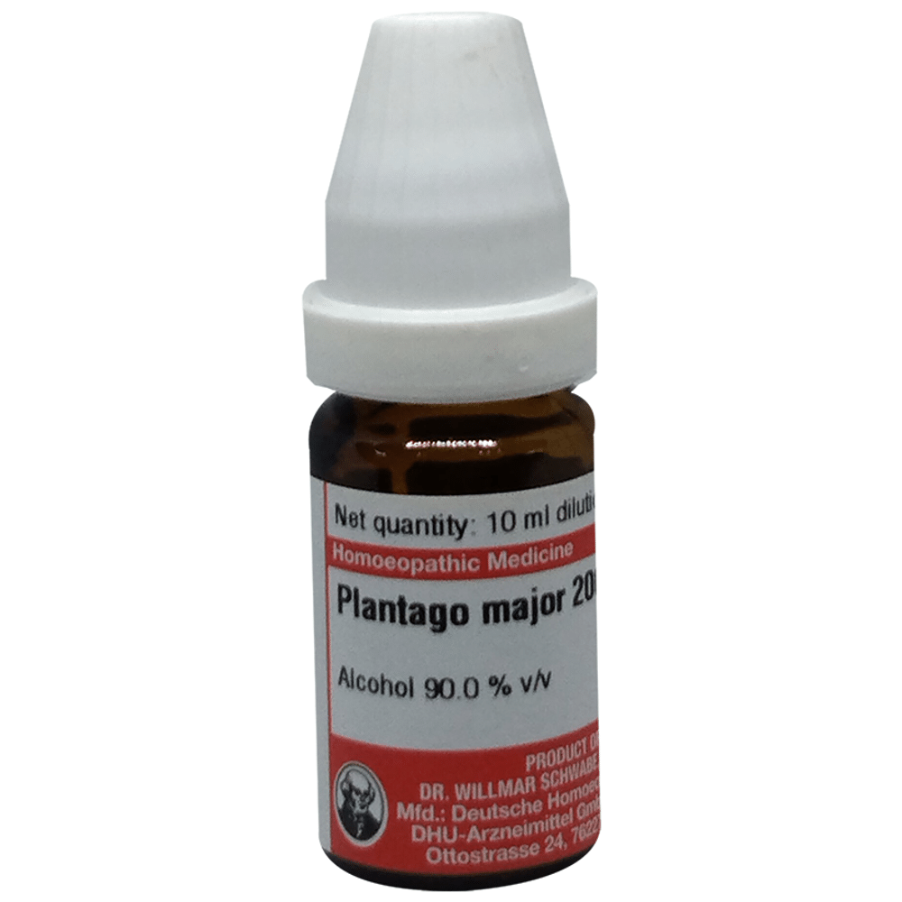 Dr Willmar Schwabe Germany Plantago Major Dilution 200 Dr Willmar Schwabe Germany Plantago Major Dilution 200