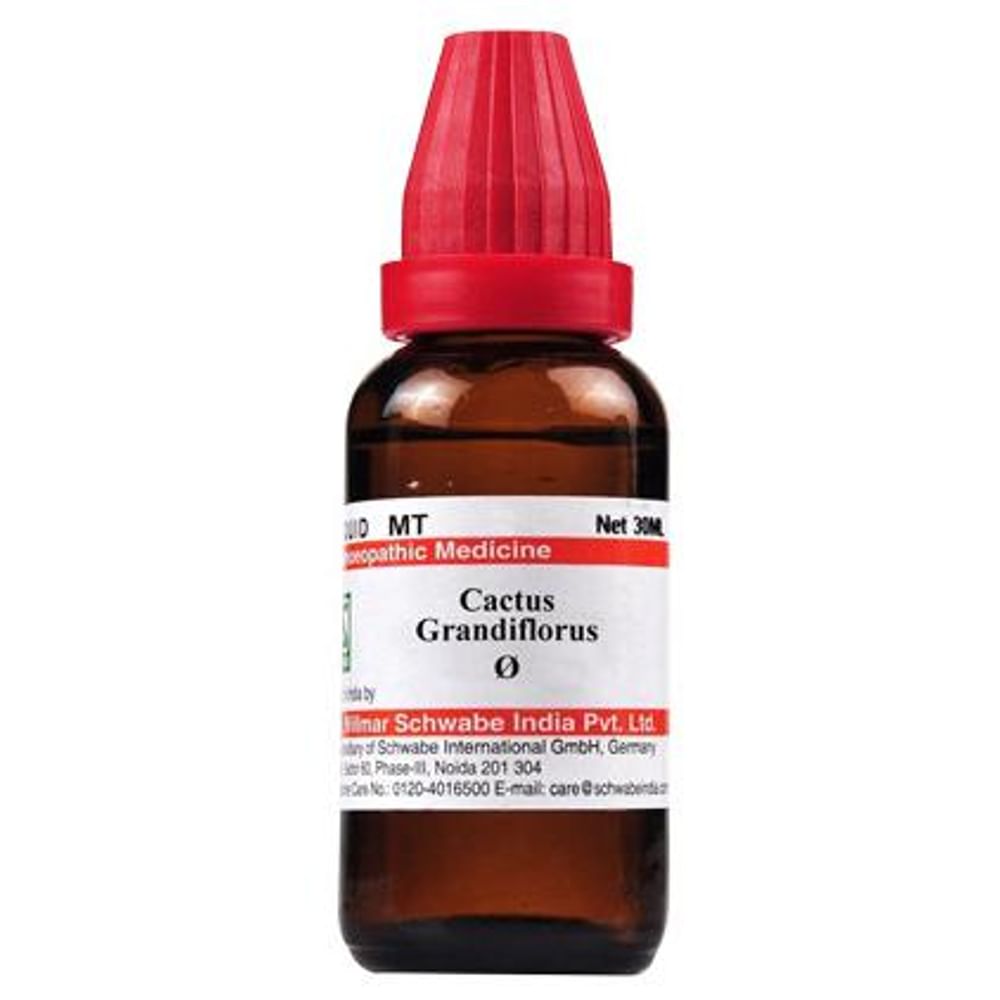 Dr Willmar Schwabe India Cactus Grandiflorus Mother Tincture Q Dr Willmar Schwabe India Cactus Grandiflorus Mother Tincture Q