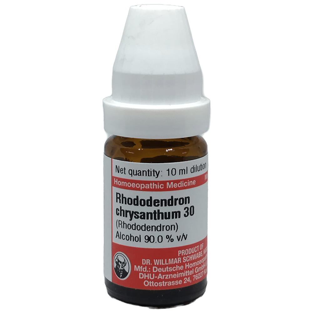 Dr Willmar Schwabe Germany Rhododendron Chrysanthum Dilution 30 Dr Willmar Schwabe Germany Rhododendron Chrysanthum Dilution 30