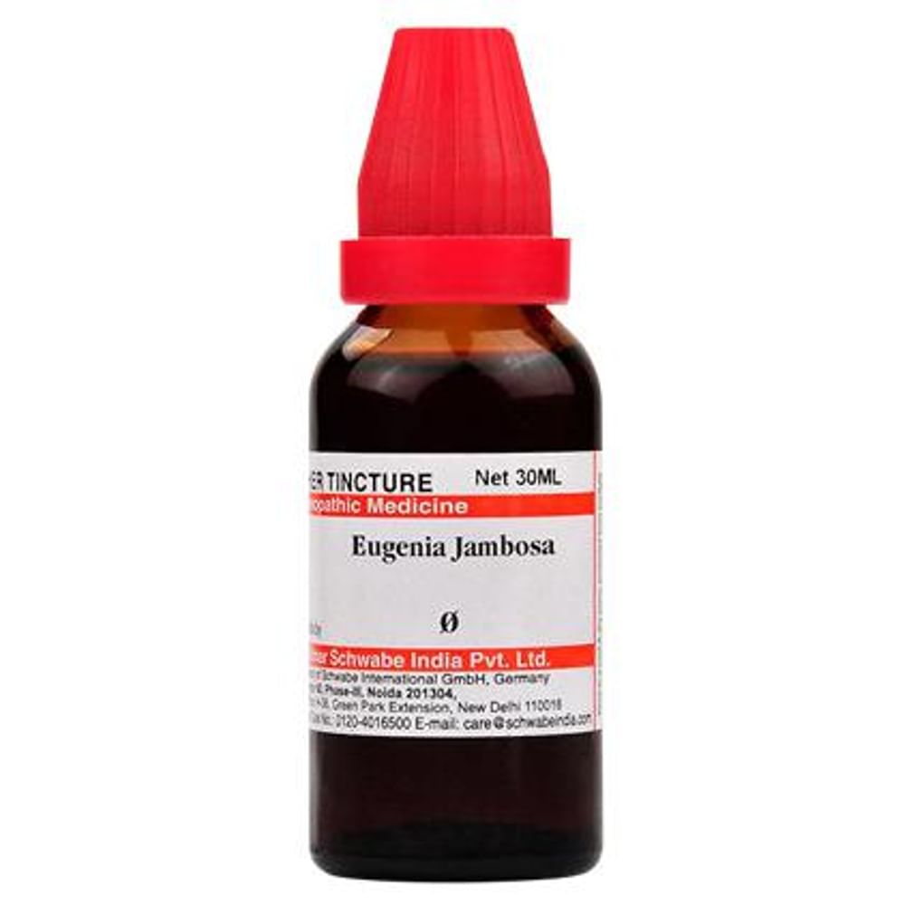 Dr Willmar Schwabe India Eugenia Jambosa Mother Tincture Q Dr Willmar Schwabe India Eugenia Jambosa Mother Tincture Q