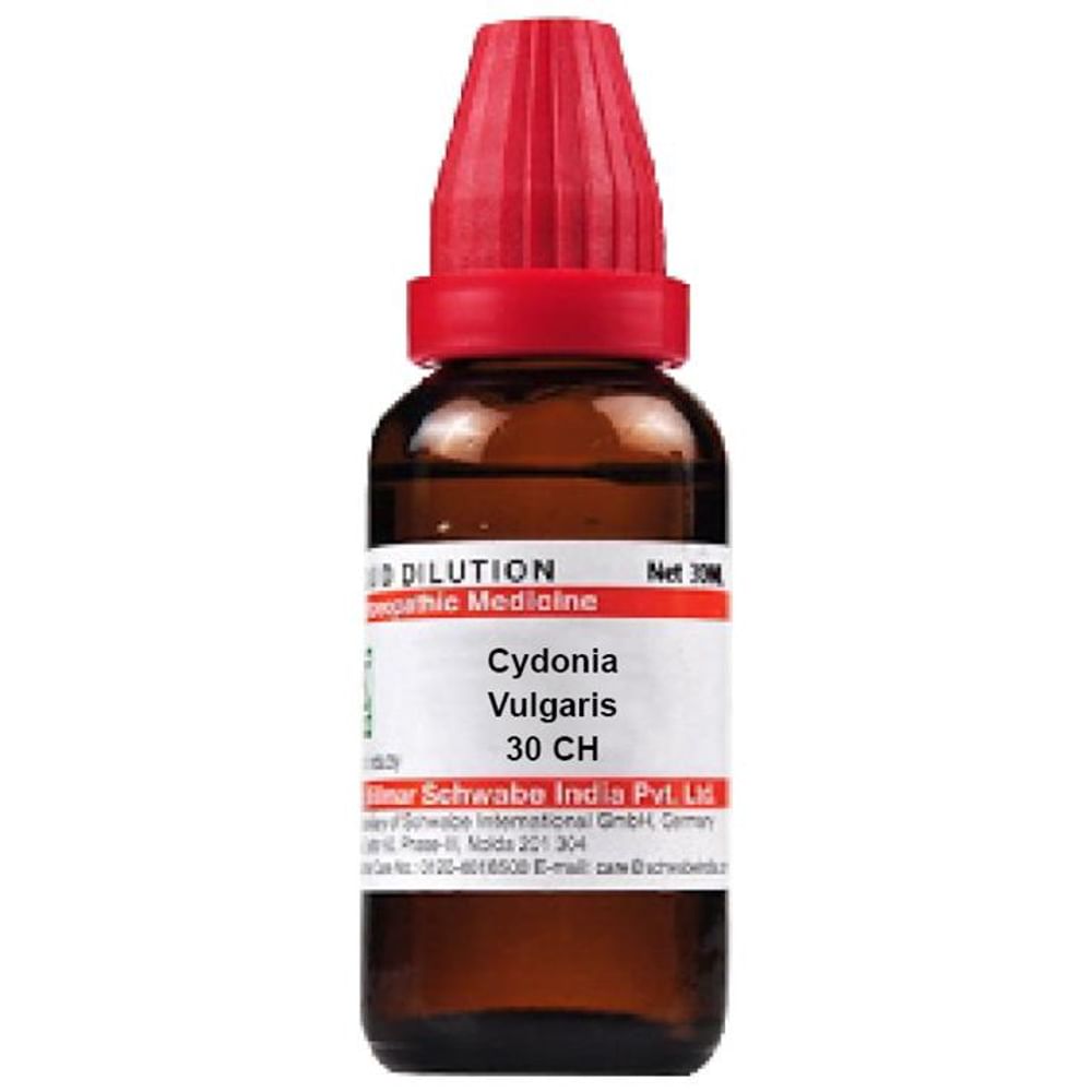 Dr Willmar Schwabe India Cydonia Vulgaris Dilution 30 CH
