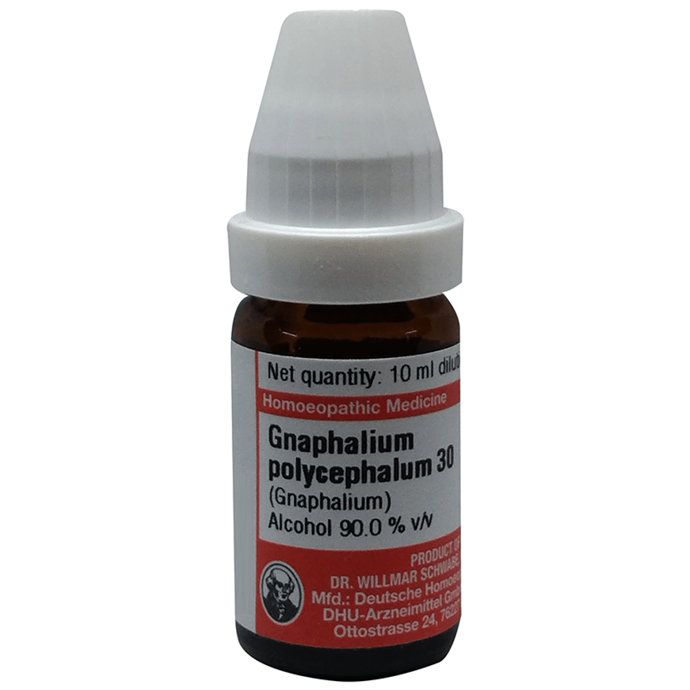 Dr Willmar Schwabe Germany Gnaphalium Polycephalum Dilution 30 Dr Willmar Schwabe Germany Gnaphalium Polycephalum Dilution 30