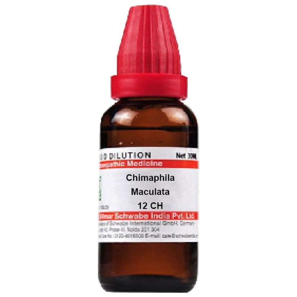 Dr Willmar Schwabe India Chimaphila Maculata Dilution 12 CH Dr Willmar Schwabe India Chimaphila Maculata Dilution 12 CH