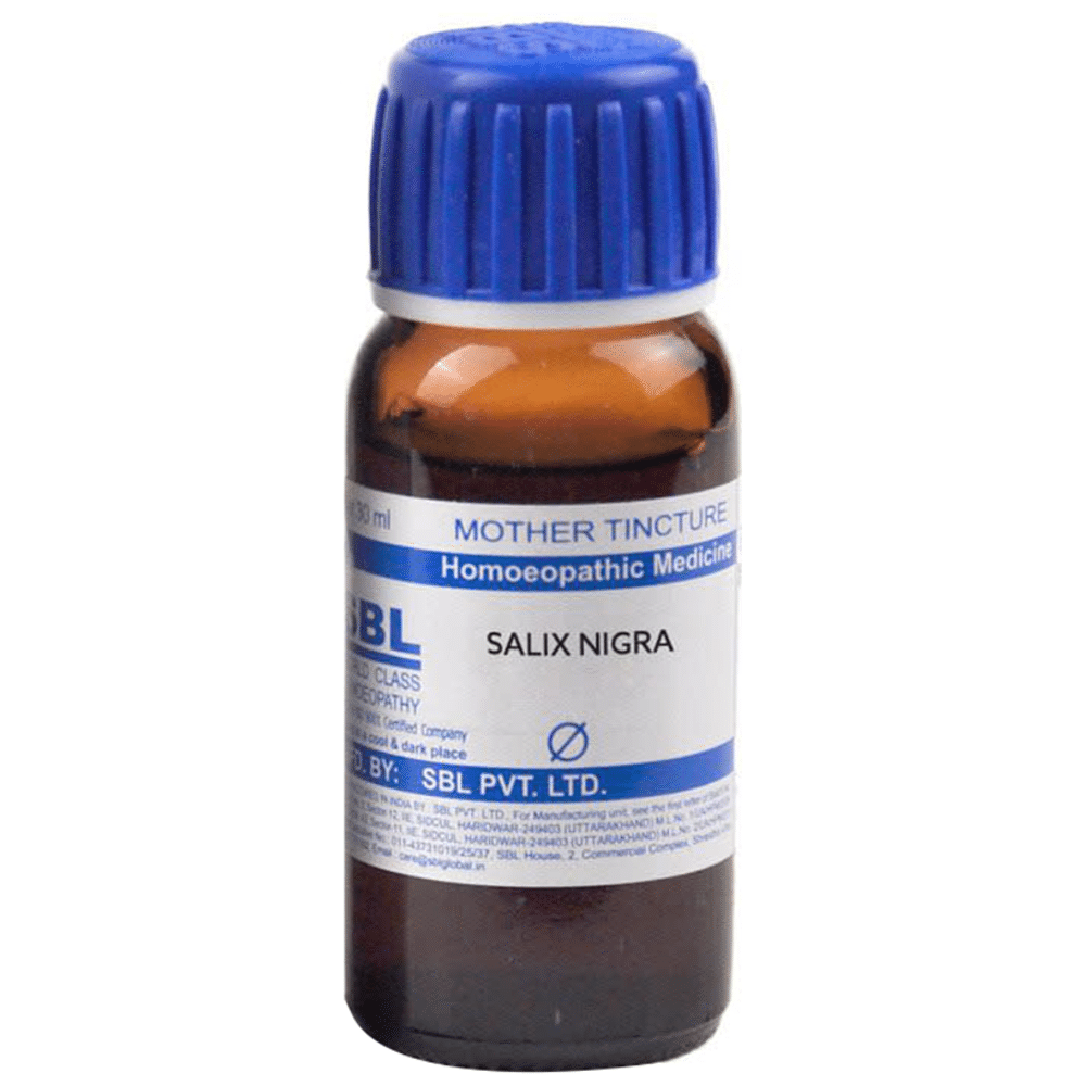 SBL Salix Nigra Mother Tincture Q SBL Salix Nigra Mother Tincture Q