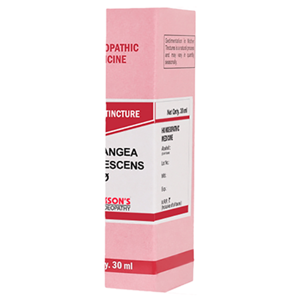 Bakson's Homeopathy Hydrangea Arborescens Mother Tincture Q