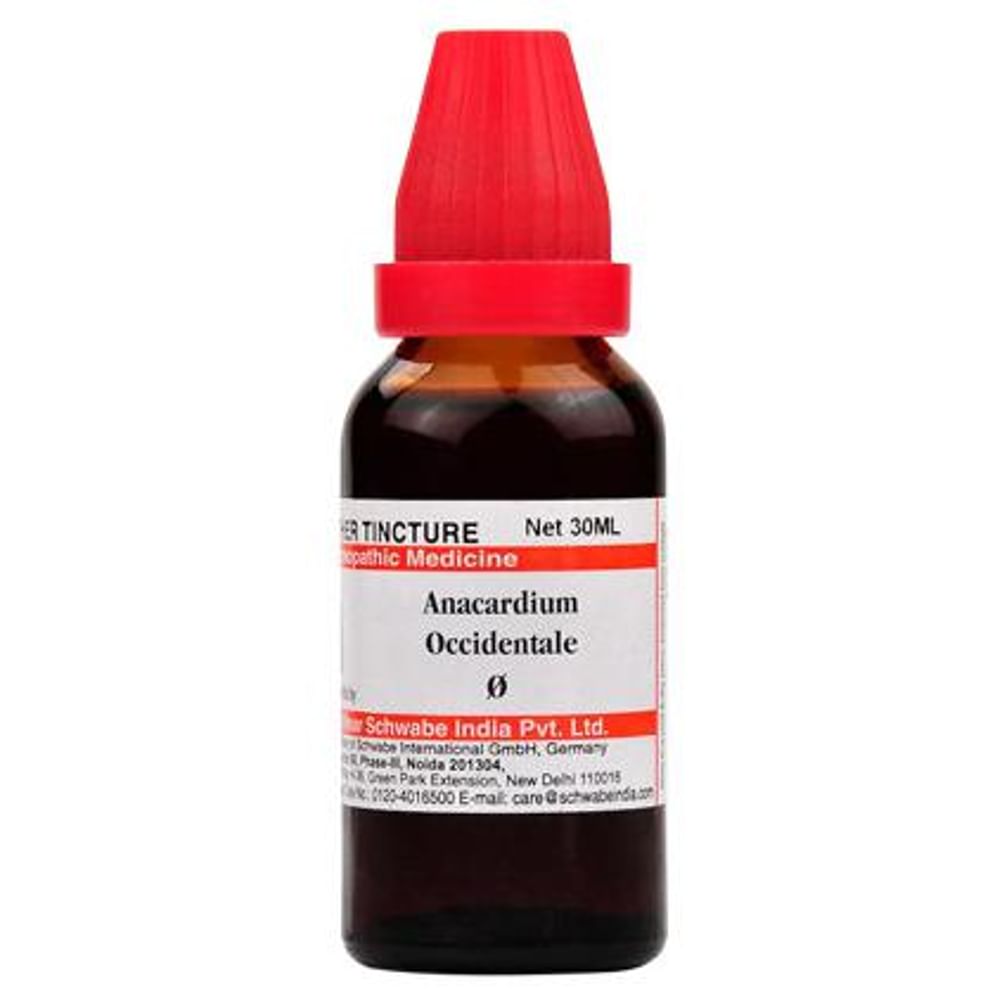 Dr Willmar Schwabe India Anacardium Occidentale Mother Tincture Q Dr Willmar Schwabe India Anacardium Occidentale Mother Tincture Q
