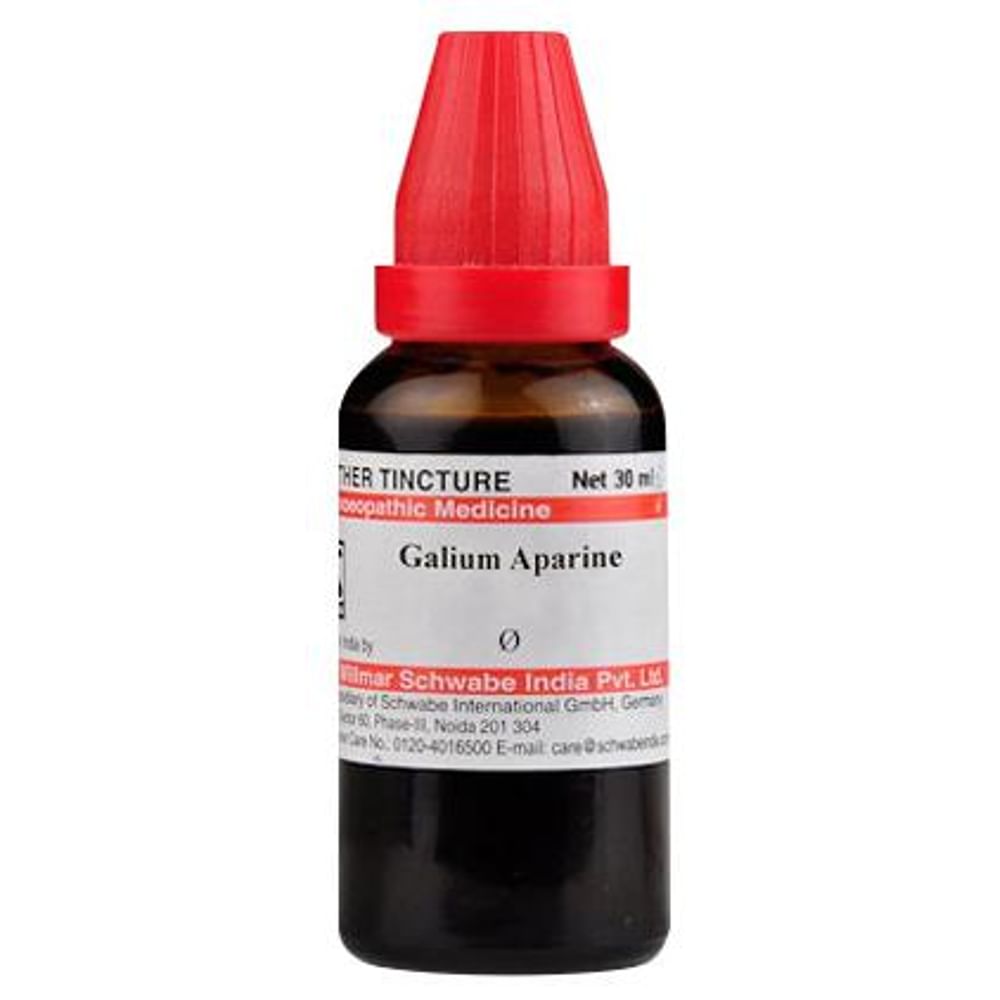 Dr Willmar Schwabe India Galium Aparine Mother Tincture Q Dr Willmar Schwabe India Galium Aparine Mother Tincture Q