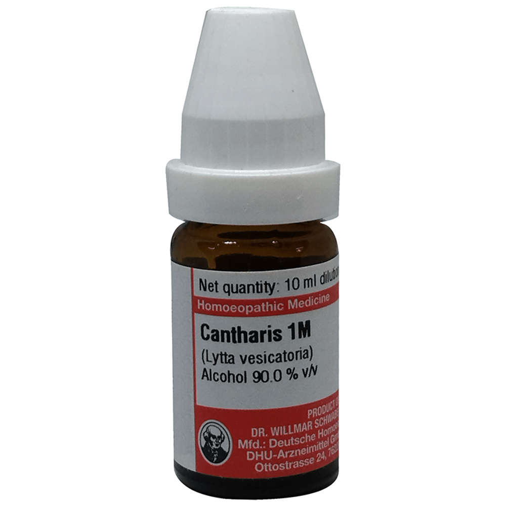 Dr Willmar Schwabe Germany Cantharis Dilution 1M Dr Willmar Schwabe Germany Cantharis Dilution 1M
