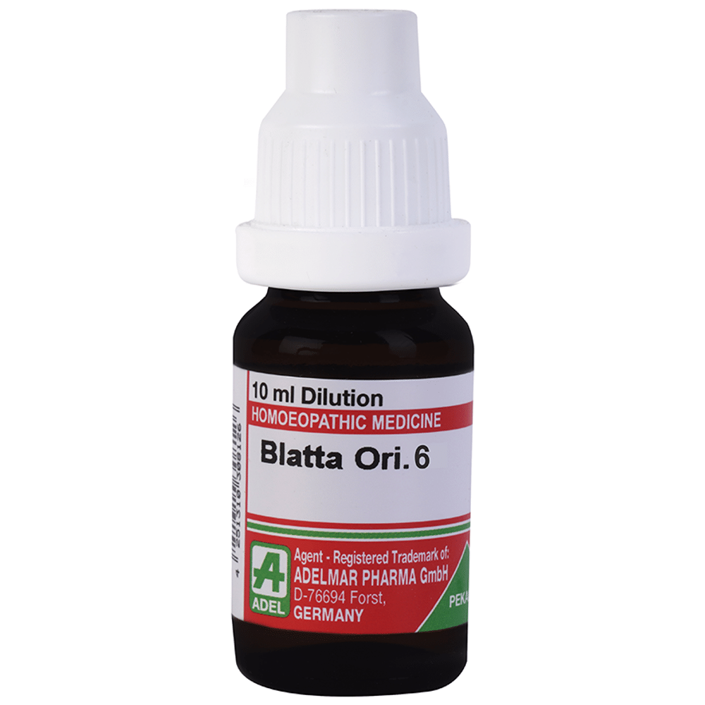 ADEL Blatta Ori. Dilution 6 ADEL Blatta Ori. Dilution 6