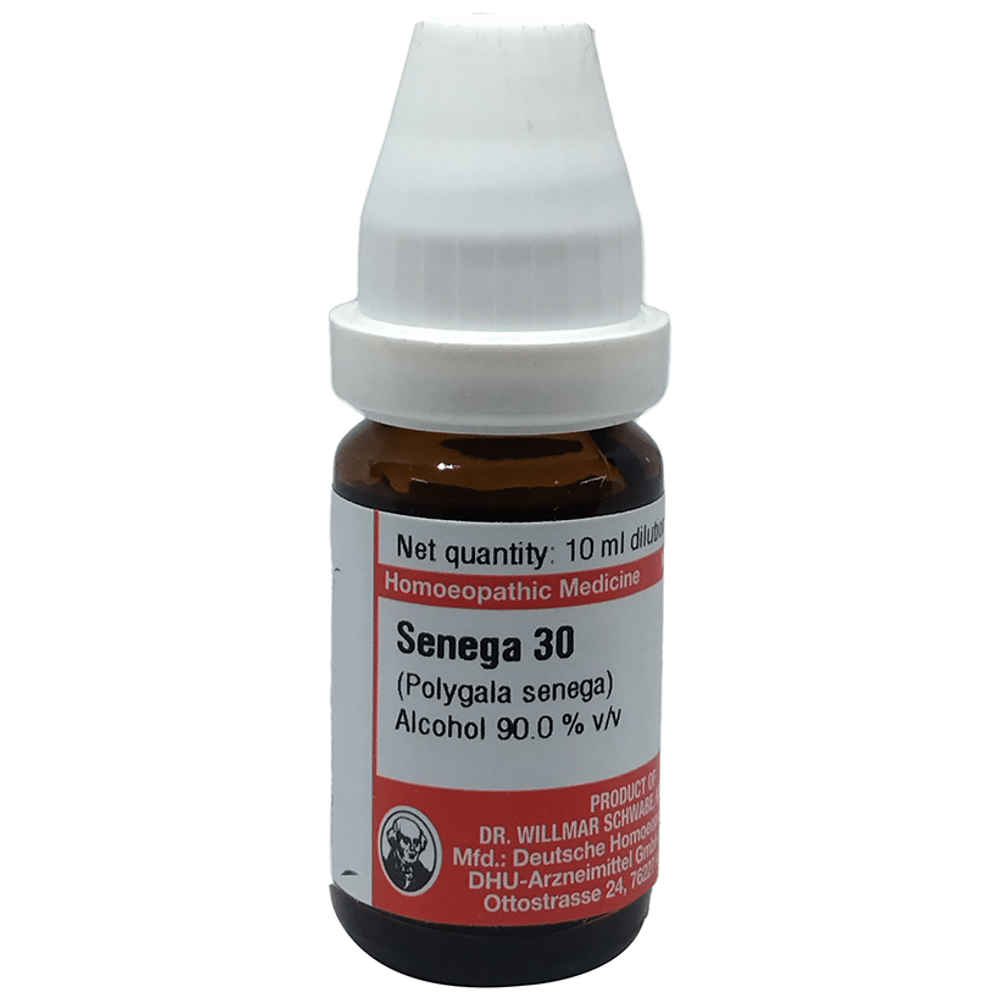 Dr Willmar Schwabe Germany Senega (Polygala Senega) Dilution 30 Dr Willmar Schwabe Germany Senega (Polygala Senega) Dilution 30