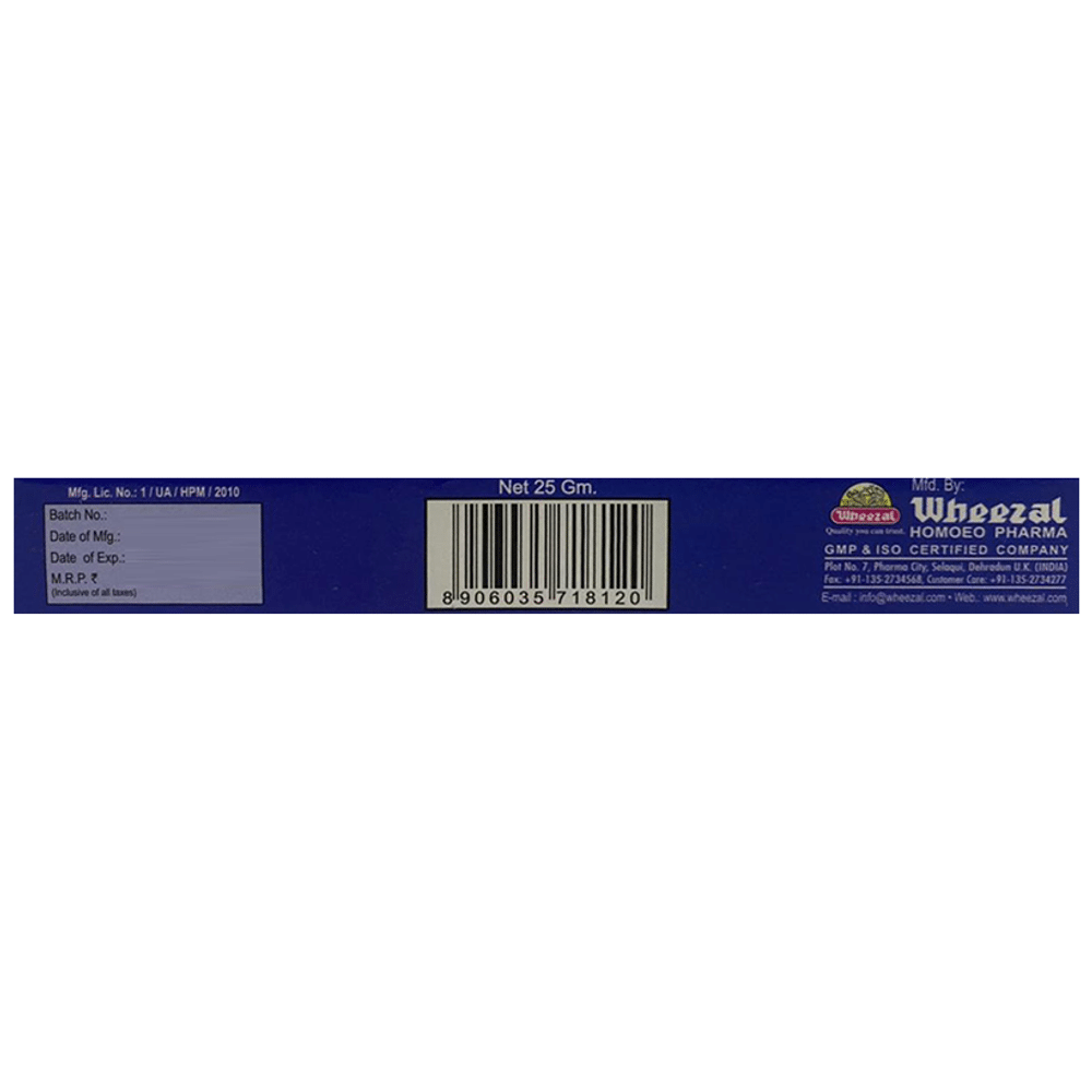 Wheezal Rhus Tox Ointment Wheezal Rhus Tox Ointment