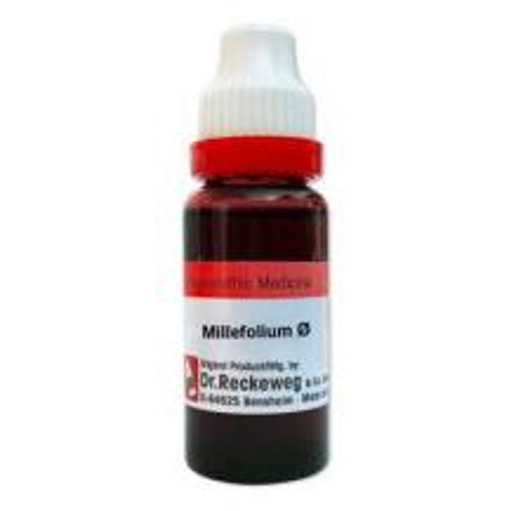 Dr. Reckeweg Millefolium Mother Tincture Q Dr. Reckeweg Millefolium Mother Tincture Q