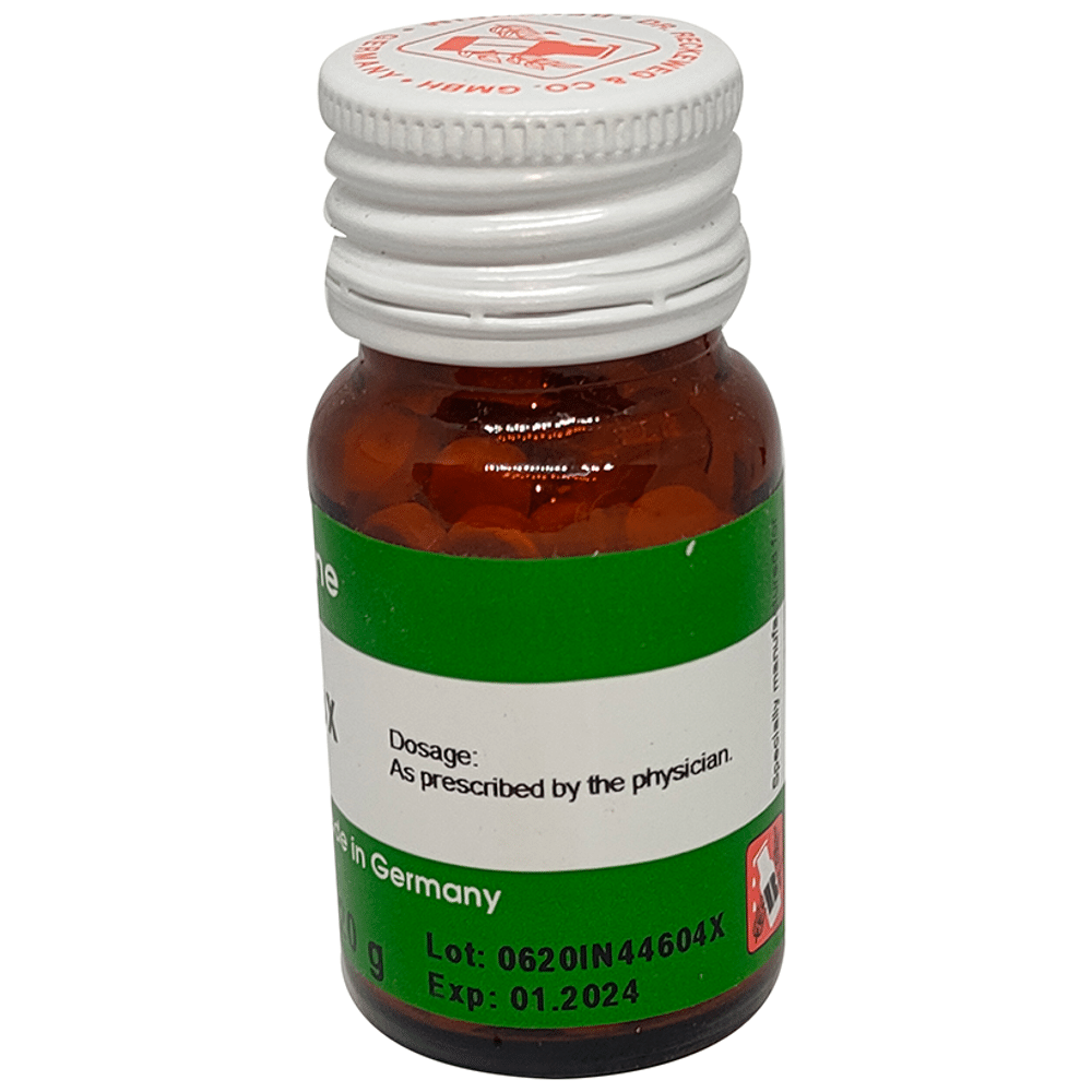 Dr. Reckeweg Ferrum Muriaticum Tablet Dr. Reckeweg Ferrum Muriaticum Tablet