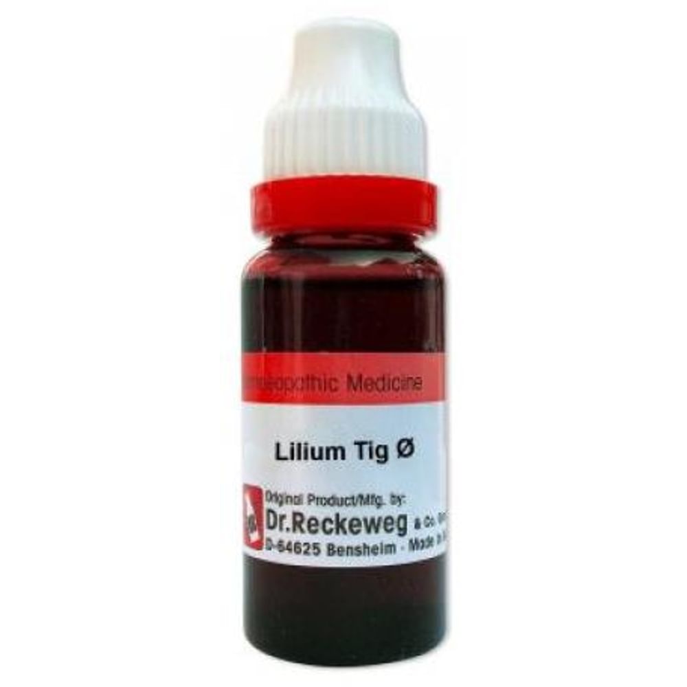 Dr. Reckeweg Lilium Tig Mother Tincture Q Dr. Reckeweg Lilium Tig Mother Tincture Q