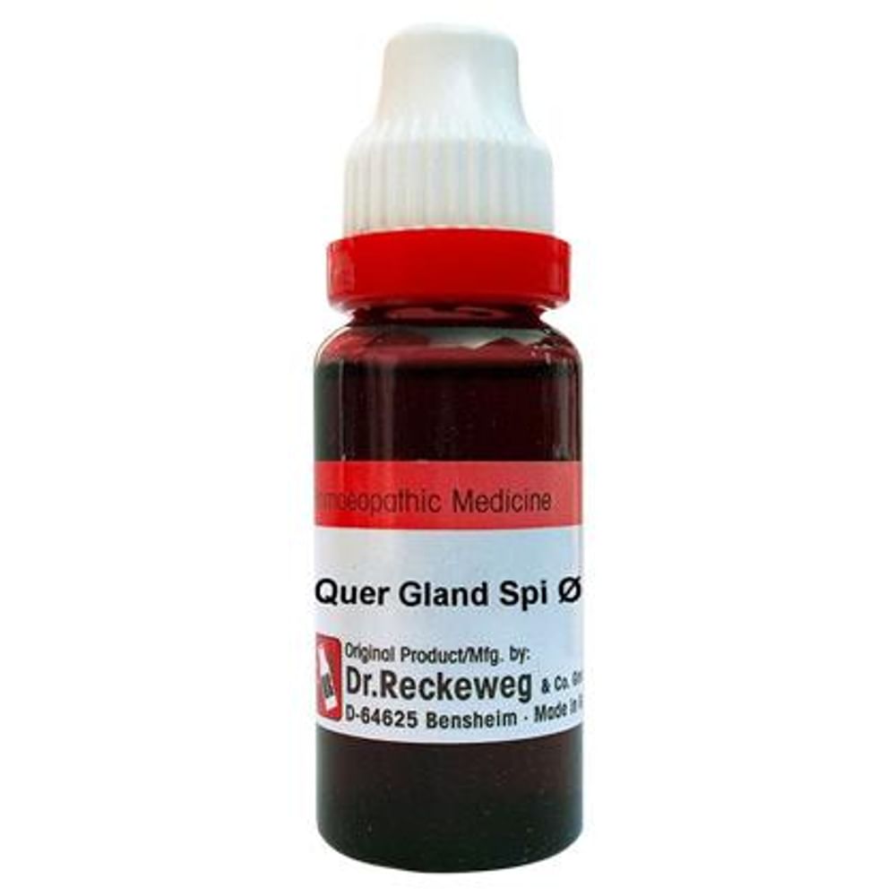 Dr. Reckeweg Quer Gland Spi Mother Tincture Q Dr. Reckeweg Quer Gland Spi Mother Tincture Q