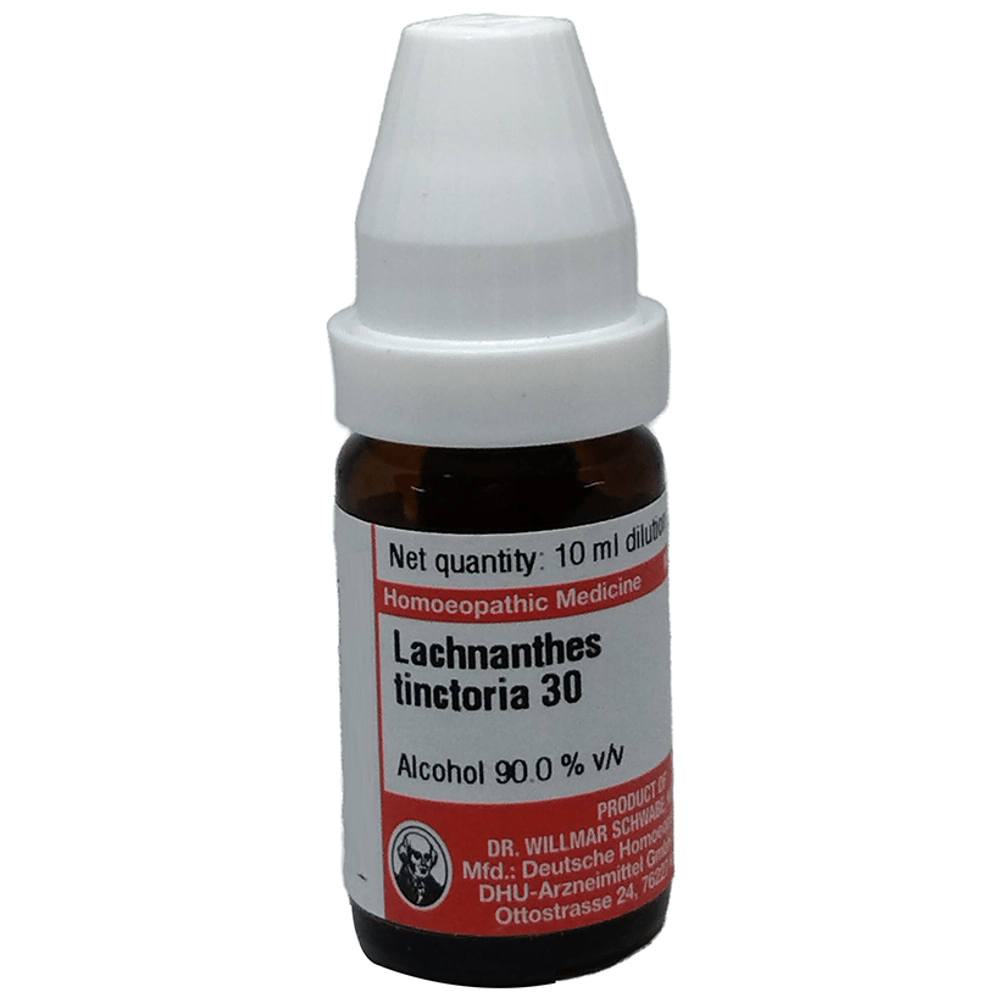 Dr Willmar Schwabe Germany Lacnanthes Tinctoria Dilution 30