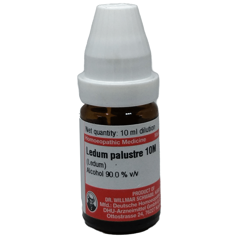 Dr Willmar Schwabe Germany Ledum Palustre Dilution 10M Dr Willmar Schwabe Germany Ledum Palustre Dilution 10M