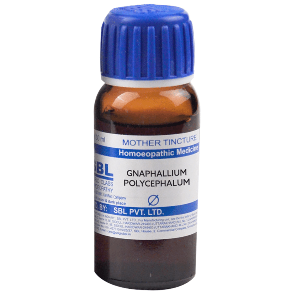 SBL Gnaphalium Polycephalum Mother Tincture Q SBL Gnaphalium Polycephalum Mother Tincture Q