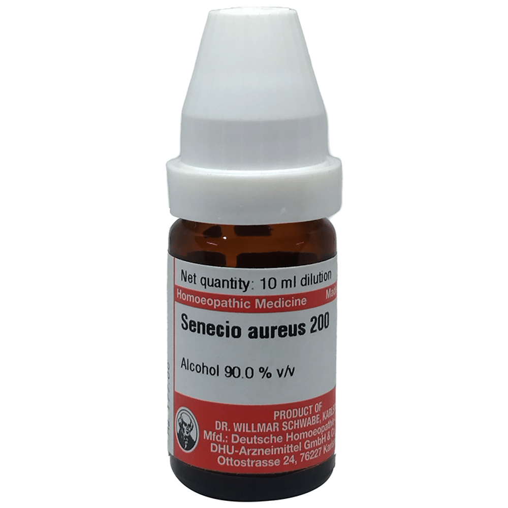 Dr Willmar Schwabe Germany Senecio Aureus Dilution 200 Dr Willmar Schwabe Germany Senecio Aureus Dilution 200