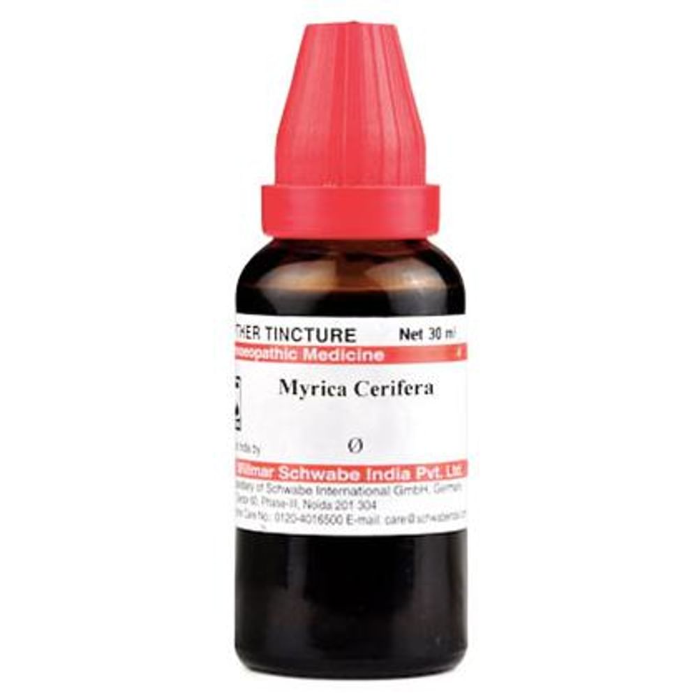 Dr Willmar Schwabe India Myrica Cerifera Mother Tincture Q Dr Willmar Schwabe India Myrica Cerifera Mother Tincture Q