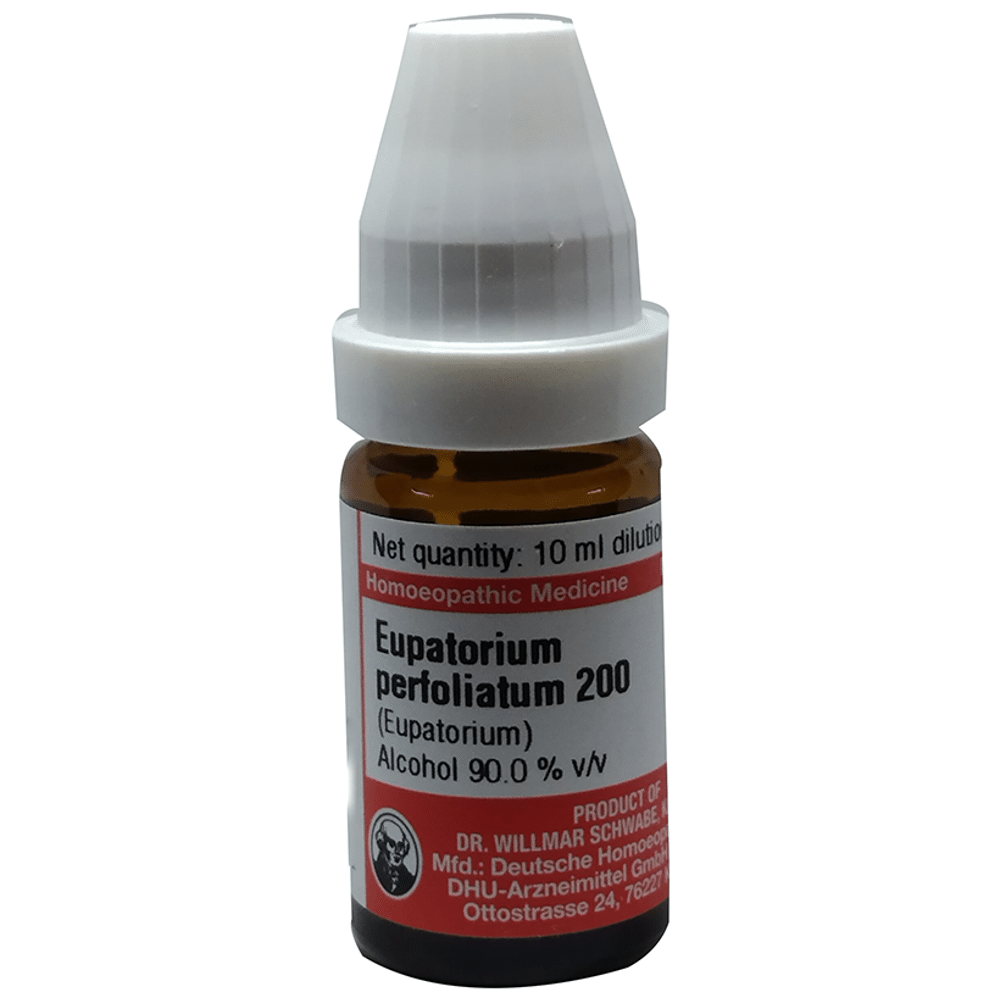 Dr Willmar Schwabe Germany Eupatorium Perfoliatum Dilution 200 Dr Willmar Schwabe Germany Eupatorium Perfoliatum Dilution 200
