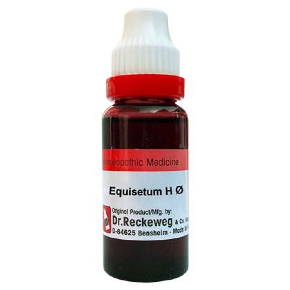 Dr. Reckeweg Equisetum H Mother Tincture Q