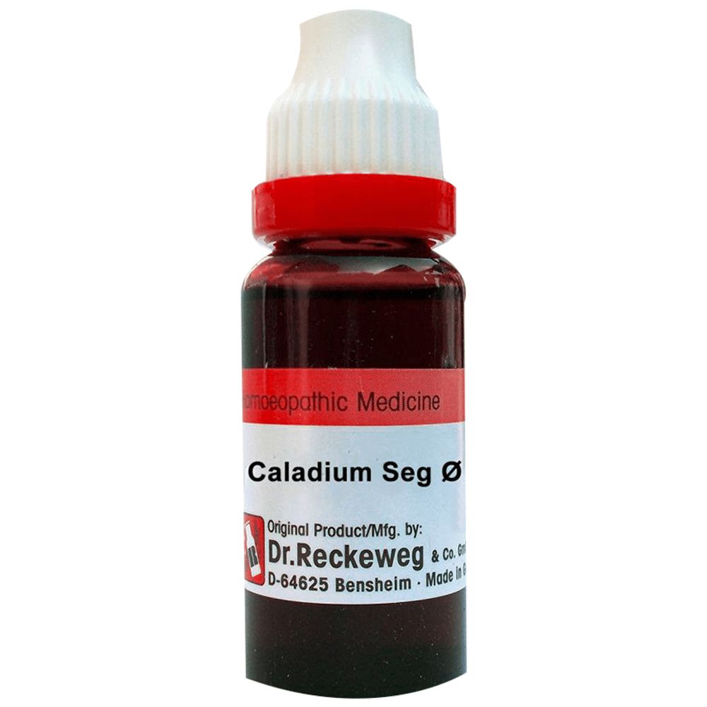 Dr. Reckeweg Caladium Seg Mother Tincture Q Dr. Reckeweg Caladium Seg Mother Tincture Q