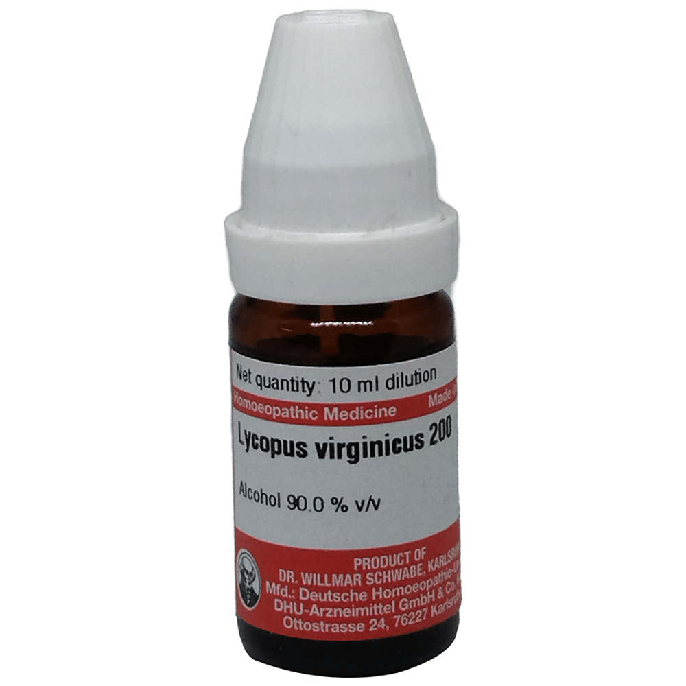 Dr Willmar Schwabe Germany Lycopus Virginicus Dilution 200 Dr Willmar Schwabe Germany Lycopus Virginicus Dilution 200
